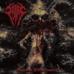 SIJJEEL (SA) Salvation Within Insanity CD