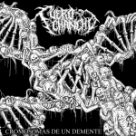 CUERO CHANCHO (CL) Cromosomas de un demente CD EP